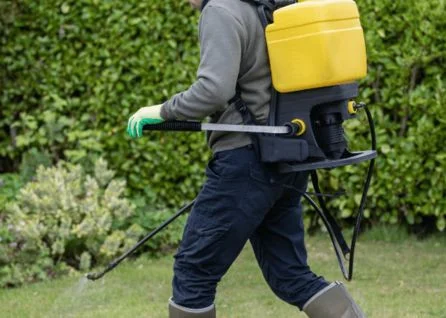 Person wearing gloves and boots sprays liquid on lawn using a backpack sprayer with a yellow tank; green hedge and plants in background.